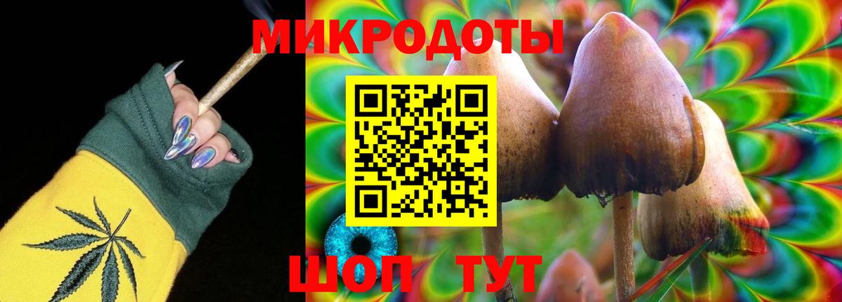 Анжеро-Судженск  Псилоцибиновые грибы прущие грибы  Псилоцибиновые грибы прущие грибы  Вход с VPN 